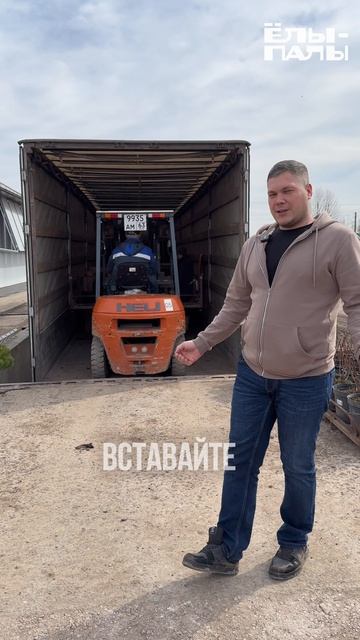 Первая отгрузка сезона 2026 из питомника "ЁЛЫ-ПАЛЫ"