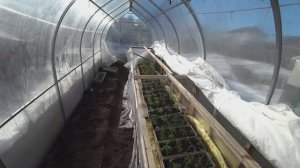 Как организовать парник для рассады