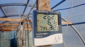 утро в деревне