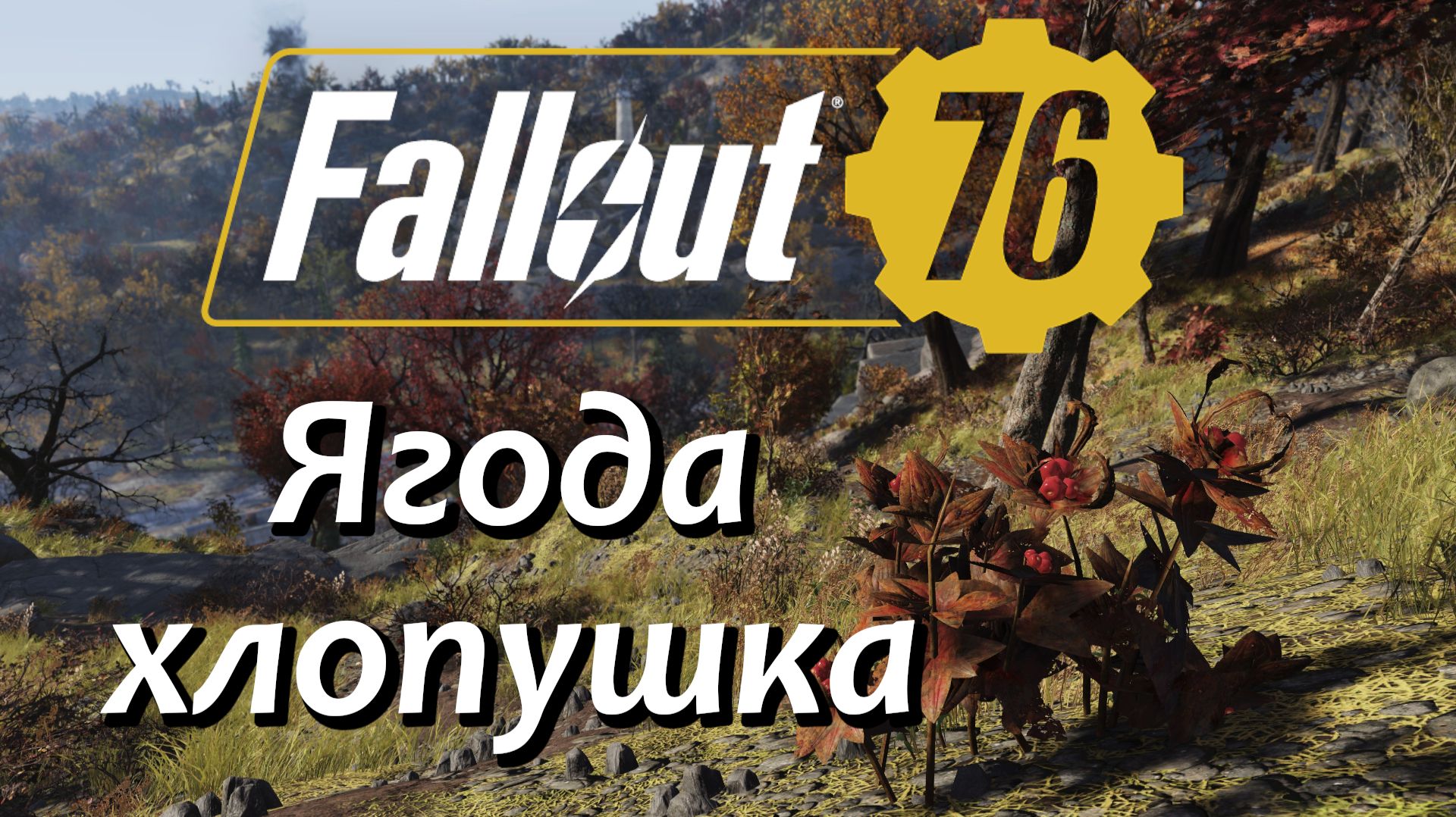 Fallout 76 Где искать Ягода хлопушка