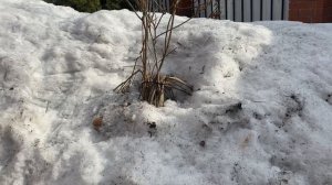 Хочу вязать, но🤷🏽 Один из моих дней такой 😉