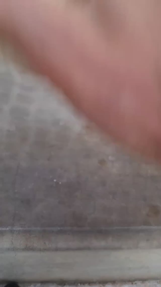 Деревянное яблоко слоновоеяблоко фруктымира деревянноеяблоко фрукторианство сыроедение фрукты