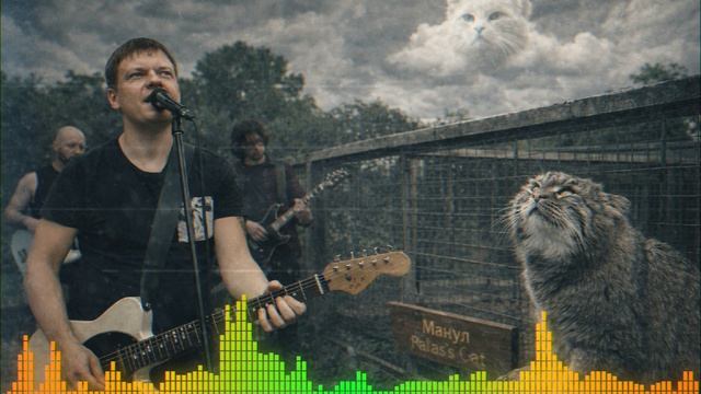 MatON - Манул (AI) - Проект "RomAнтик" - Премьера новой песни!