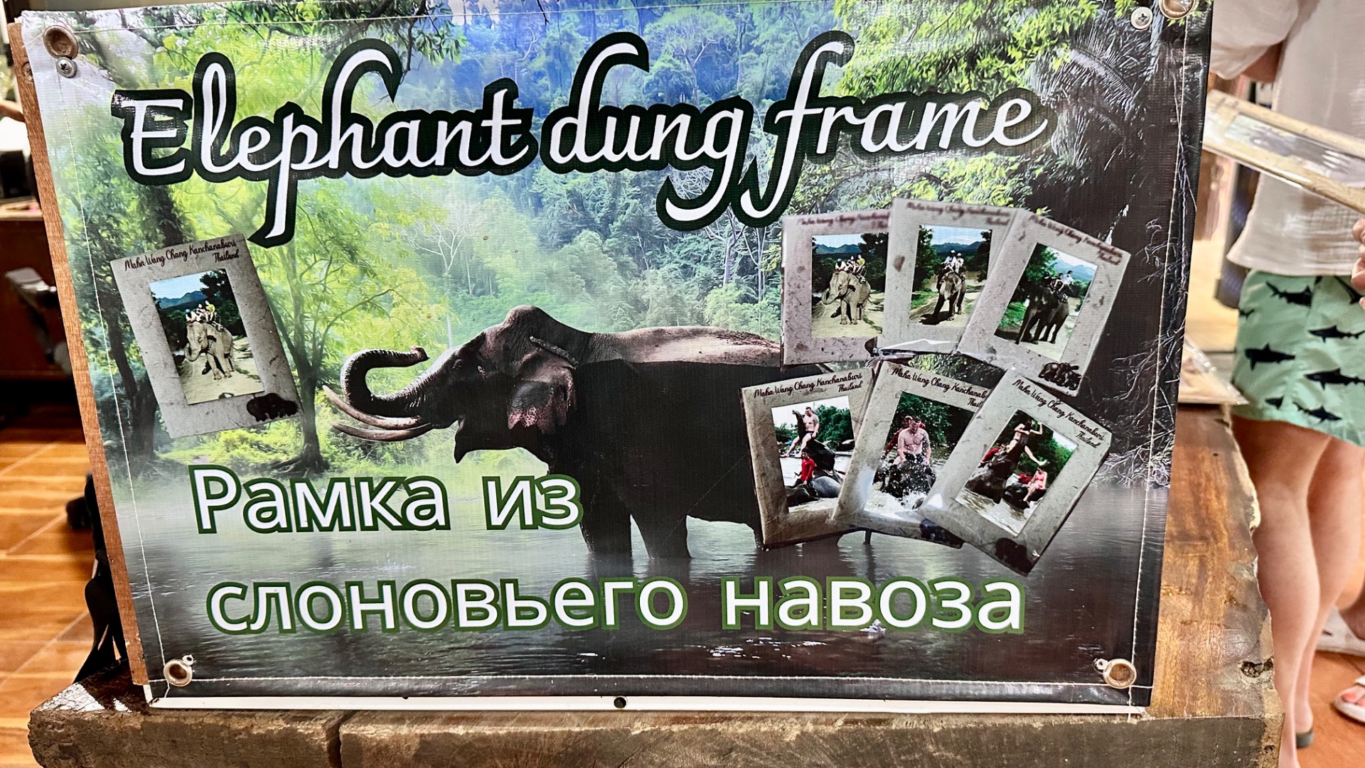 Едем на слонах в тропиках