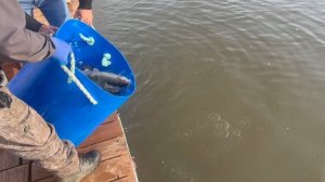 copy_62FEC5AF-ABAB-45D3-8E47-9652B6A430E4