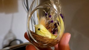 Алиса шутит/ Покупочки к ПАСХЕ/ Чем буду красить яйца🪺