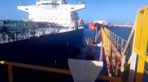 video_2026-04-01_18-26-41