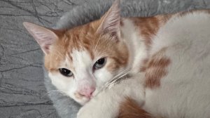 ❤️Будни сельчанки/ Проблемы на грядках/ По ночному селу.