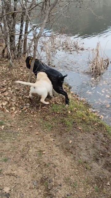 Стеша почти плавает