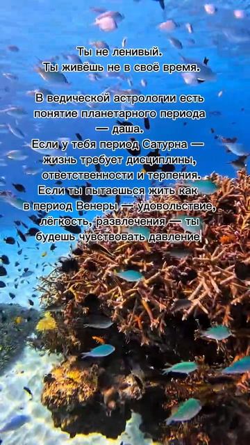 Ты не ленивый. Ты живёшь не в своё время. #7гроз #веды #нумерология #астрология #магиячисел
