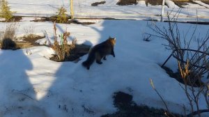 ✅️На все согласна за еду.😂