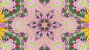 Весна! Очаровательные тюльпаны 7! Киностудия Мудрого Кота Тимофея!