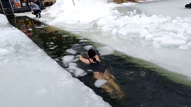 Моржи Черноголовки закрывают сезон