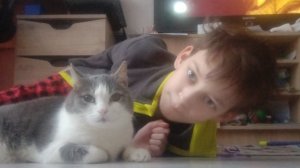 Отвечаю на вопросы