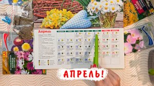 Что и когда посеять в апреле? Лунный посевной календарь огородника на Апрель 2026