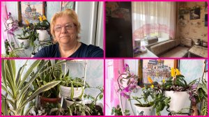 01.04.26 ✨НЕДОБЛОГГЕРЫ ТРАВЯТ НОРМАЛЬНЫХ БЛОГЕРОВ ✨ ЦВЕТ НАСТРОЕНИЯ РОЗОВЫЙ ✨