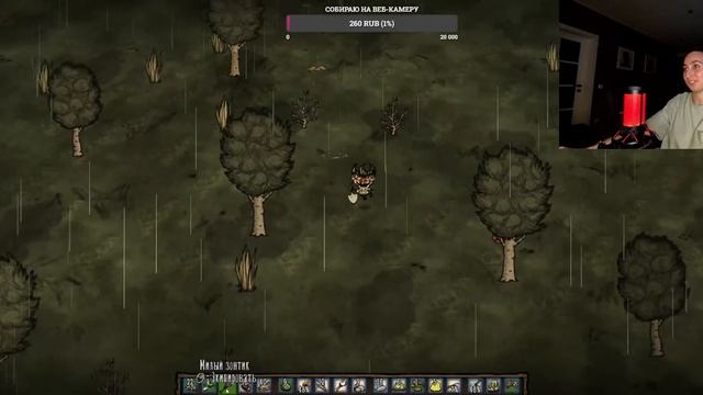 СТРИМ DONT STARVE