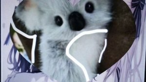 новое видео только на 30 лайков