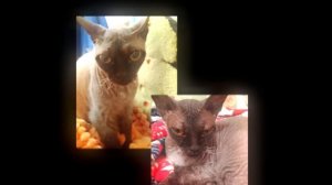 стоит задуматься.