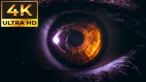ЗАВОРАЖИВАЮЩИЕ ВИДЕО В 4К