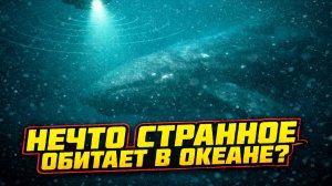 В океане ловят сигнал неизвестного существа и его связывают с древними монстрами и даже пришельцами