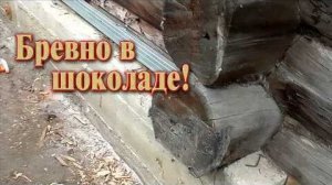 Бревно // Теперь я знаю, что с ним случилось или не случилось.