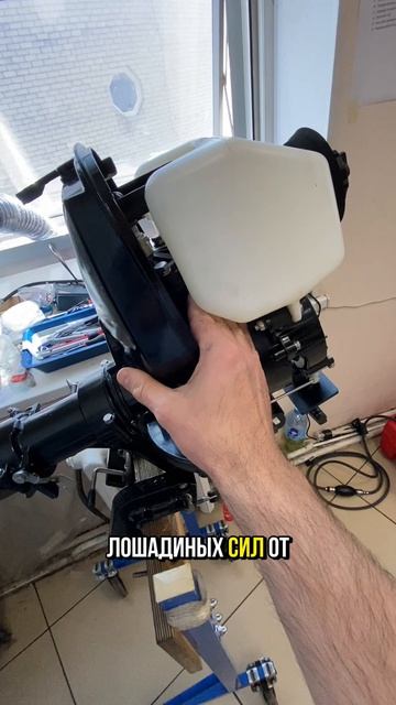 Чем отличается мотор 5 лс от женщины