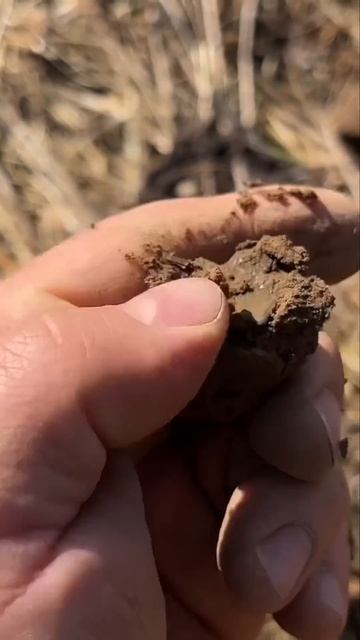 #metaldetecting #находкисметаллоискателем #коп #noktalegend #клад