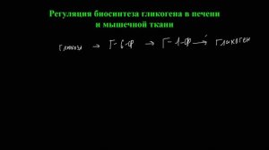 Обмен углеводов