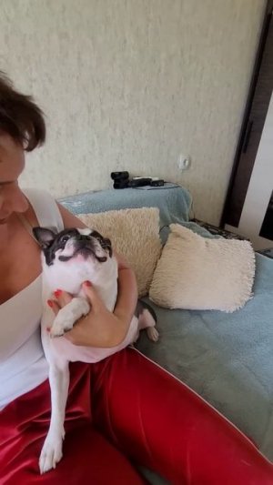 МОЯ ДУША И ЛЮБОВЬ❤️#тренды #собака