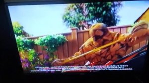 Региональная реклама Первый канал (г.Кострома) (30.04.2025)