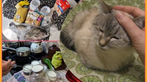 Продукты и покупки к Пасхе. Новости. Приходит время прощаться.