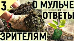 Активная мульча Как повысить плодородие часть3