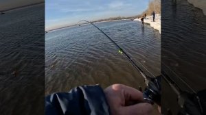 Открытие сезона берегового кастинга.