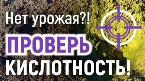 Как определить КИСЛОТНОСТЬ ПОЧВЫ в домашних условиях