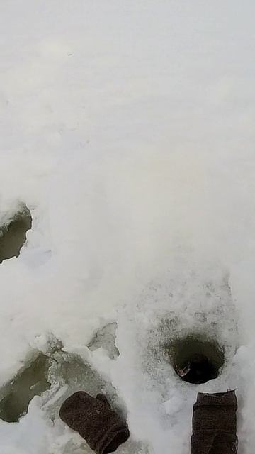 Ёрш на искусственного опарыша! Одна из крайных рыбалок сезона! Ловля мормышкой. Видос уже на канале!