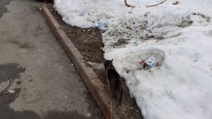 Опасность прошла стороною.