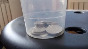 Белка увелка стала уличным психологом 🐈😸👩⚕️