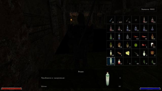 Готика 2 Ночь ворона #75. Залы храма. Идём к Ворону. Глава 2