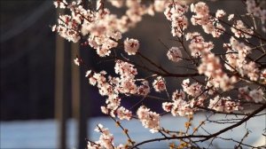 Почему 1 Апреля - Денежный день.