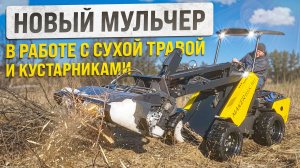 НОВЫЙ МУЛЬЧЕР В РАБОТЕ С СУХОЙ ТРАВОЙ И БОЛЬШИМИ КУСТАРНИКАМИ