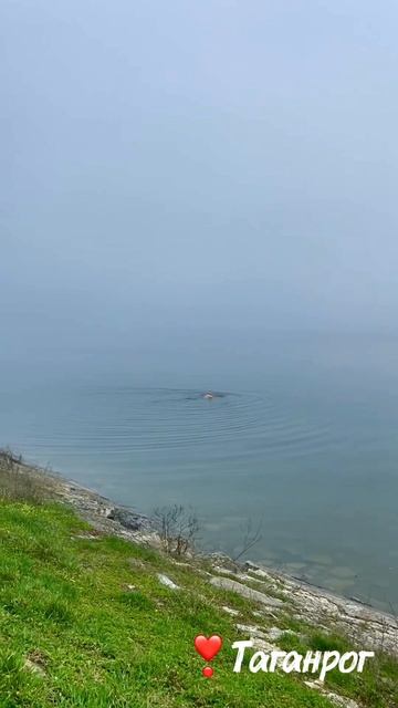 Туманное утро в Таганроге