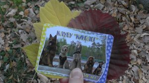 Экспозиция к 30-летнему  Юбилею клуба "Кинолог"