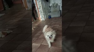 НАШЕ СЕМЕЙНОЕ ВИДЕО