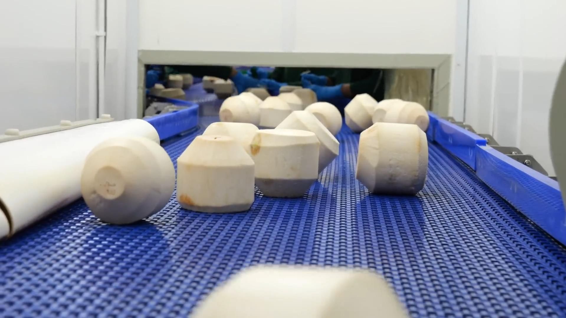 Новый способ производства кокосовой воды.