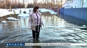 Паводок ещё не пришёл, а дома жителей Балахны уже затопило