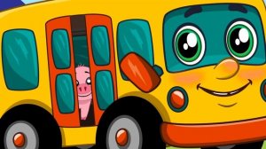 учим животных