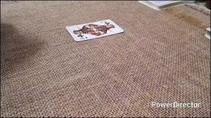 ‼️Расклад что на сердце, что под сердцем. Вы❤️,Он♣️,Она♦️‼️