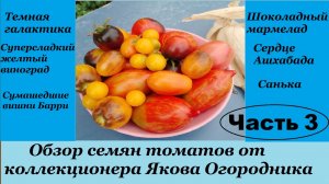 Обзор коллекционных сортов томатов от Якова Огородника (канал Тепличный бизнес в де