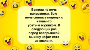 Отличная_Подборка_Анекдотов!_Лучшие_Весёлые_АНЕКДОТЫ_для_Настроения!